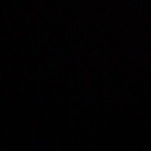 Meet your Posher, Maya